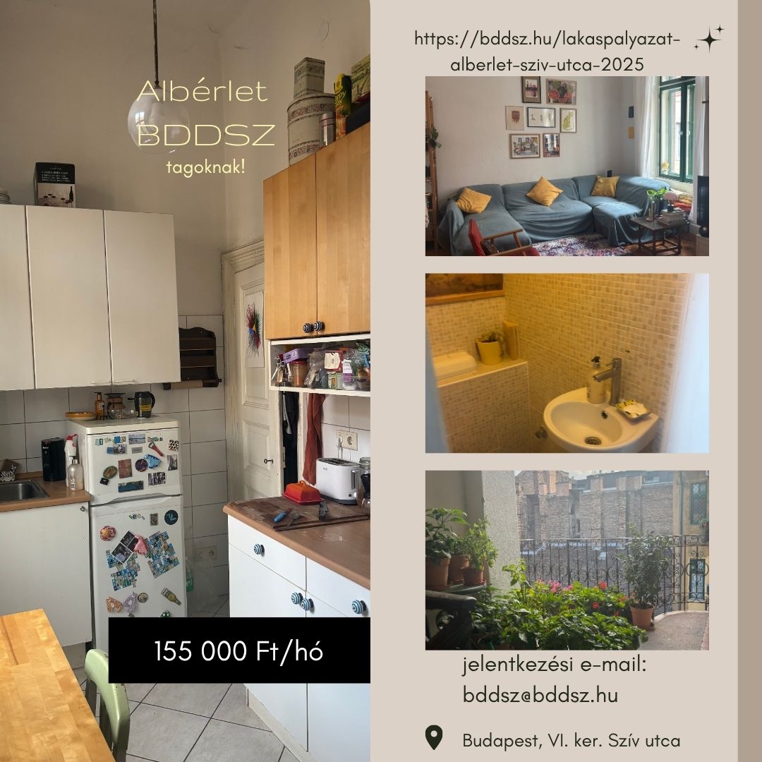 lakáspályázat-2025-sziv-utca